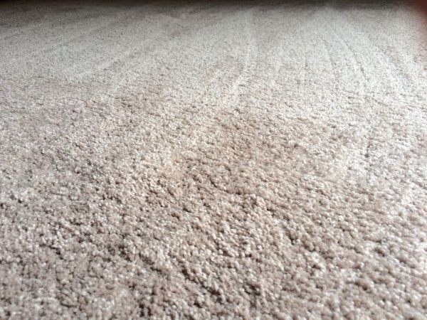 Plush Carpet Installation in Palm Desert