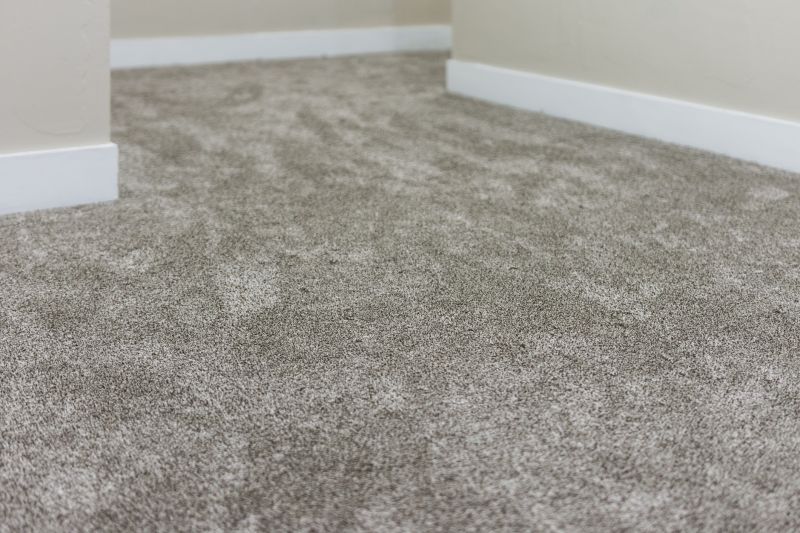 Clean Carpet Floors