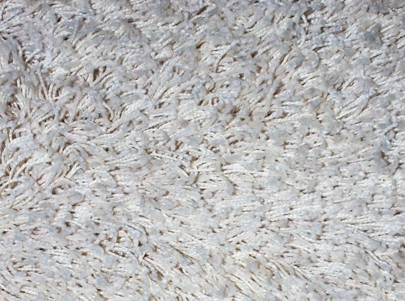 Holiday Preparations