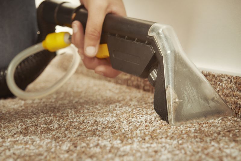Specialists in Carpet Repair